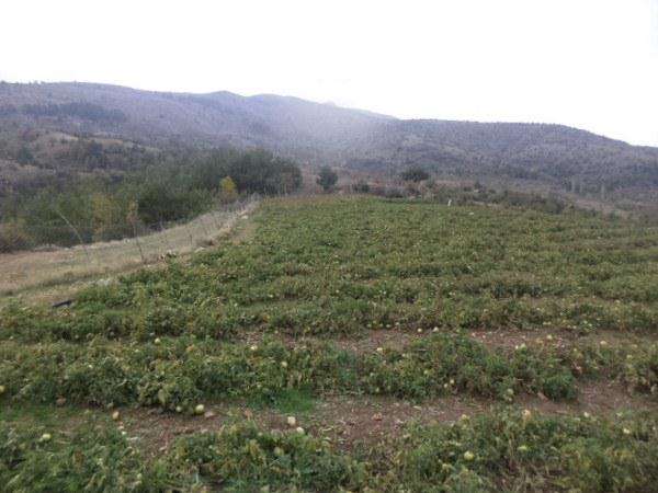 SATILIK YAYLA ARAZ�