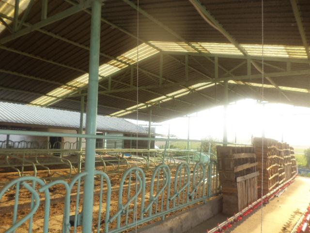 SATILIK  3000M2 KAPALI ALANLI FULL B�Y�K VE K���KBA� HAYVAN ��FTL���